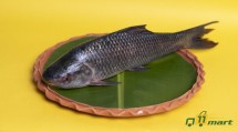 Desi RUI (1 Kg to 2.5 Kg) - রুইমাছ