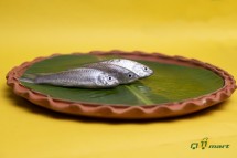 DESI BATA FISH